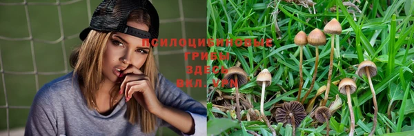 кокаин колумбия Алексин